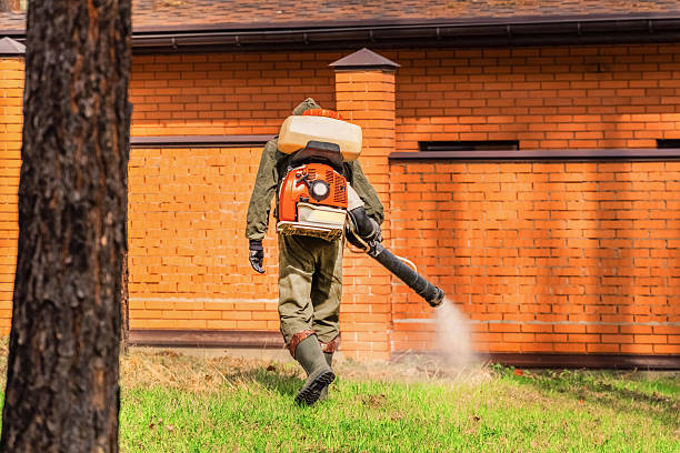Trusted Termite Control service in Doe Valley, KY - Nex Pest Control